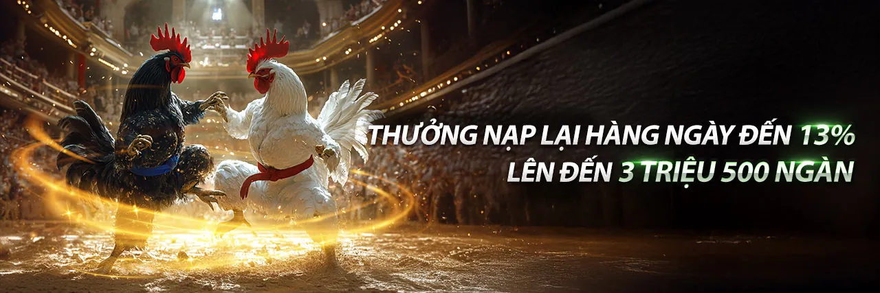 Sân vận động với ánh đèn rực rỡ và logo caxeng code